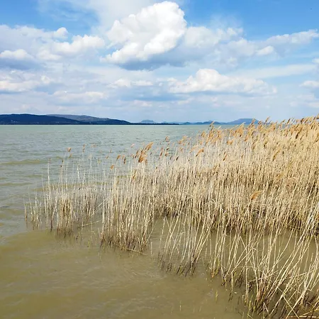 Margareta Etterem Es Vendeghaz 3*